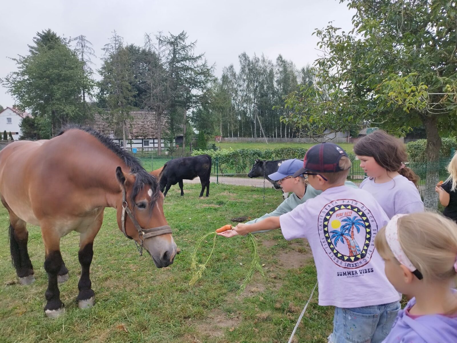 Mądra wolność – jak uczymy odpowiedzialności za swoje wybory?
