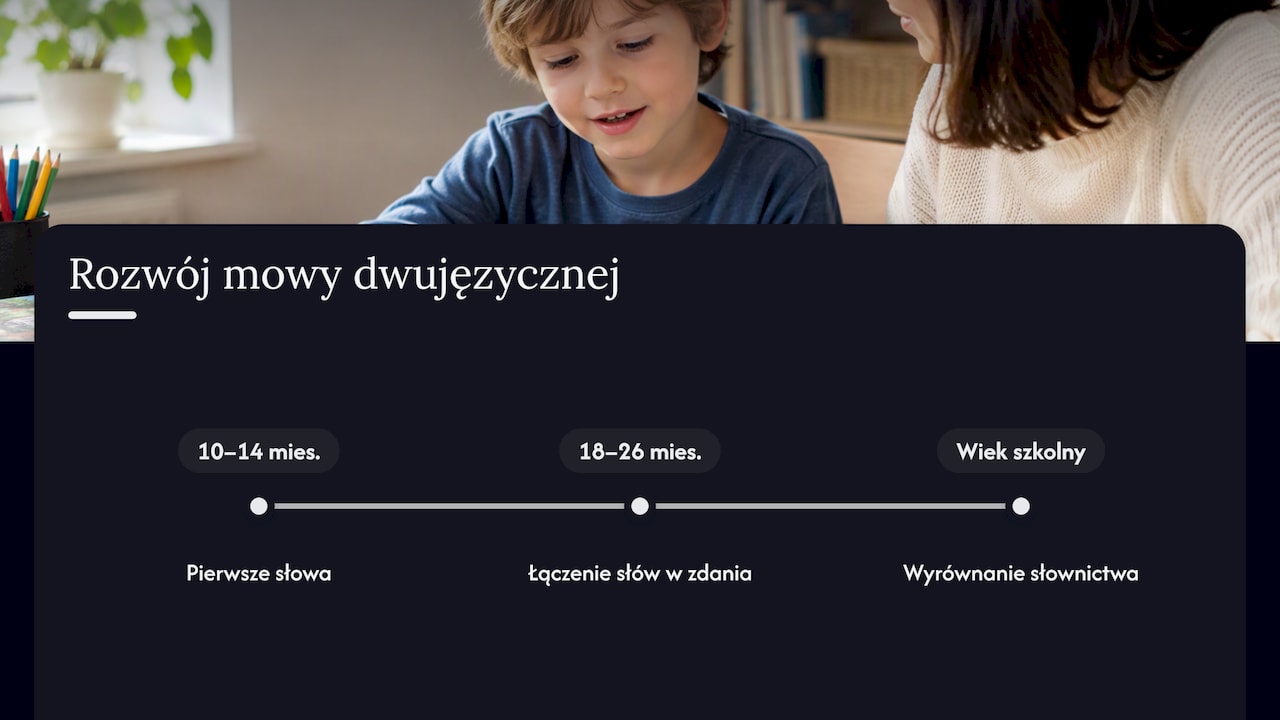 Czy dwa języki przeszkadzają w nauce? — overview diagram